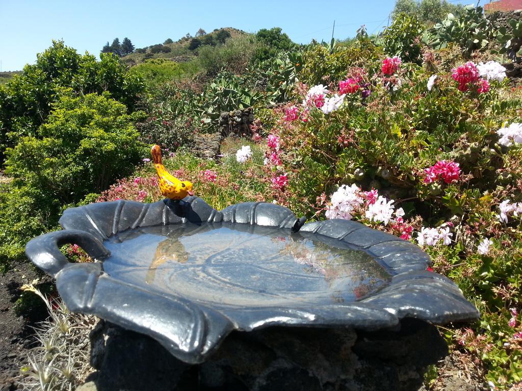 Casa Rural El Valle San Andres  ภายนอก รูปภาพ